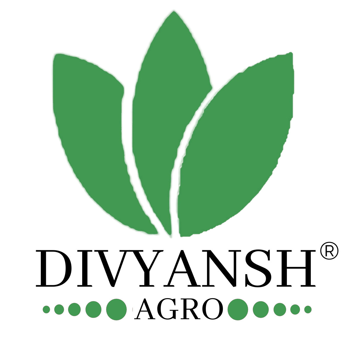 Divyansh Agro Logo